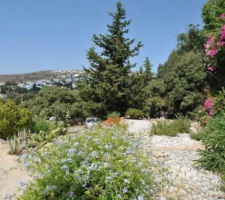Evoteli Group Ozel Havuzlu 6+1